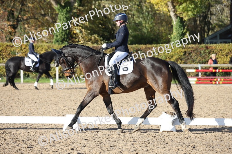 20251102-1204 - Class 7 - Medium 5