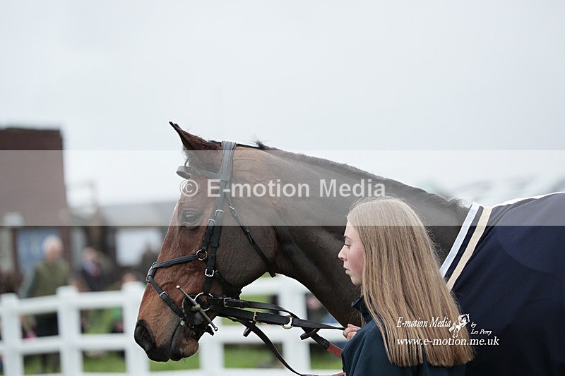 PtP 271122 618 - Hursley Hambledon Hunt Point-to-Point - Larkhill - 27/11/22