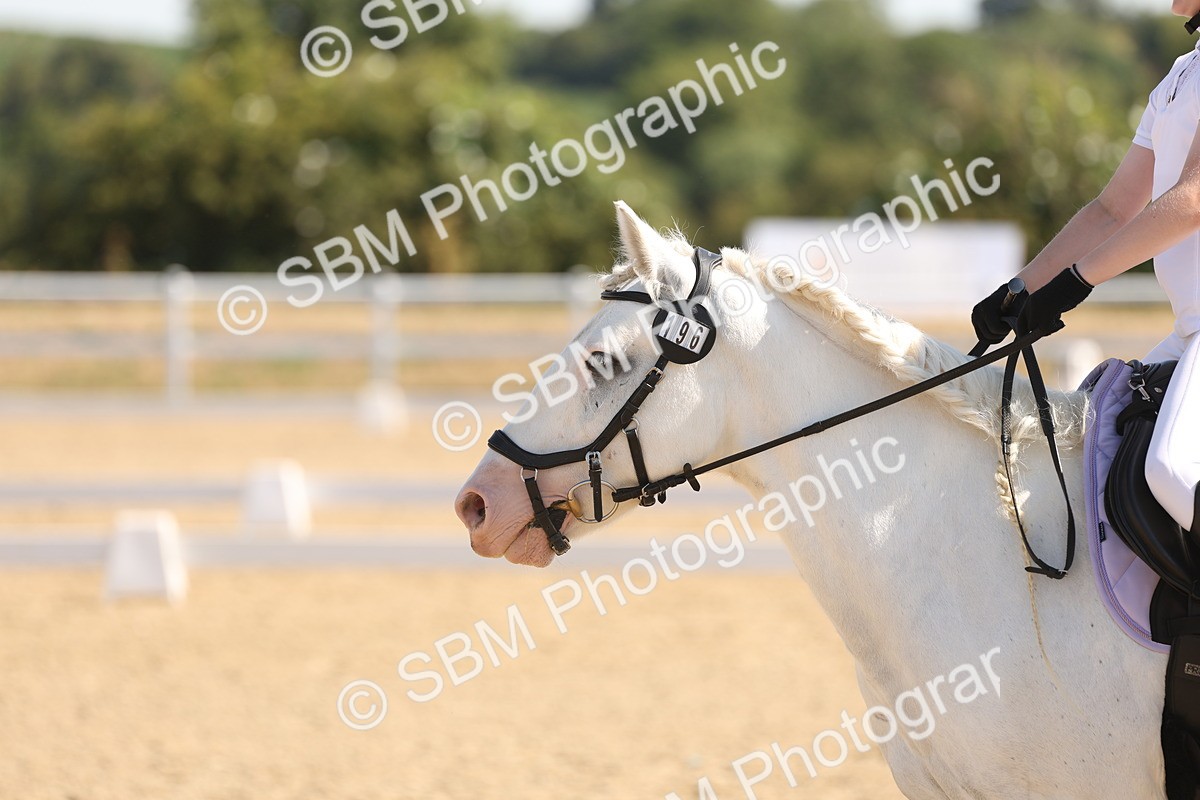 SBM_001017 - Intro 2