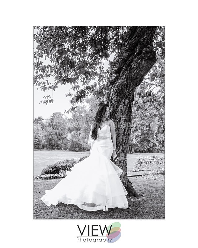 5 - Weddings