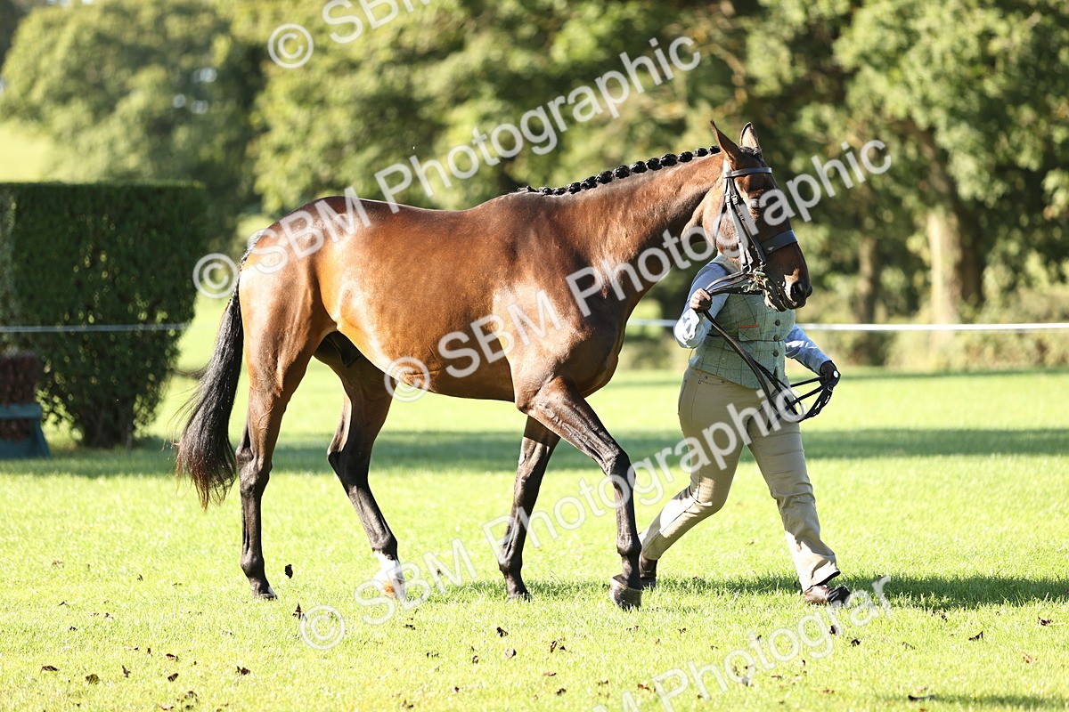 SBM_15796 - S1 - TSR in Hand Horse & Pony Showing