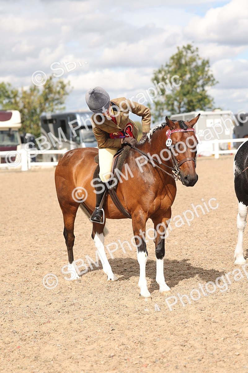 SBM_14680 - Class 307 - Ridden Coloured Pony