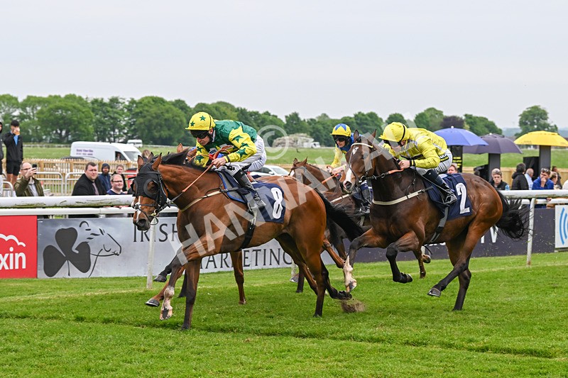 140524-Race 5-Coolree-2453 - Race 5