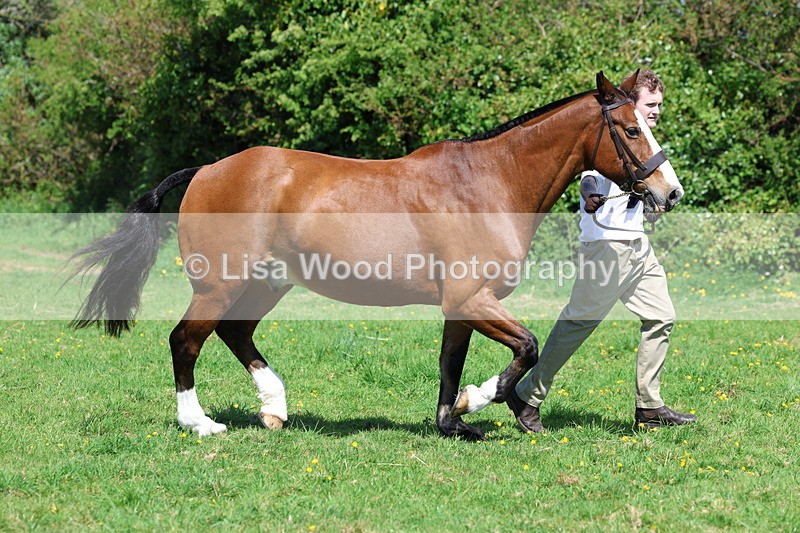 3E7A0281 - Class 19: Best Coloured in Hand