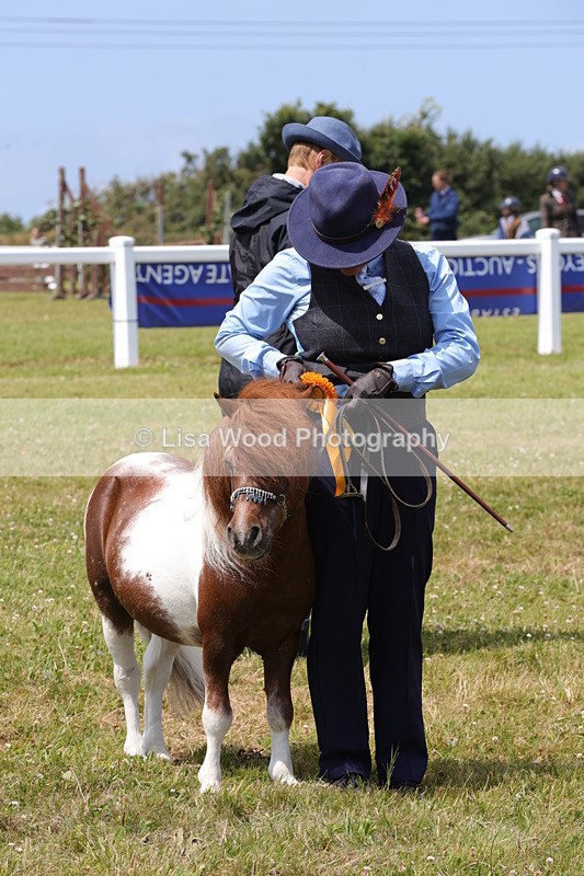 1X9A4866 - Class 35: Veteran In Hand