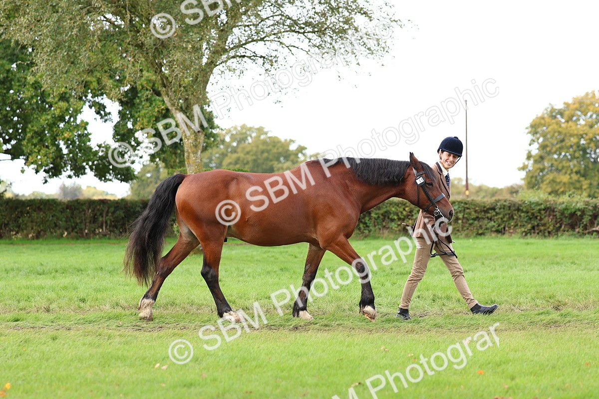 SBM_40705 - S25 -  Veteran In Hand