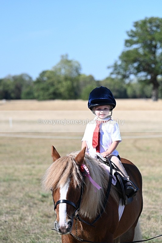 WJ7_2155 - Class 44 Child's Best Friend