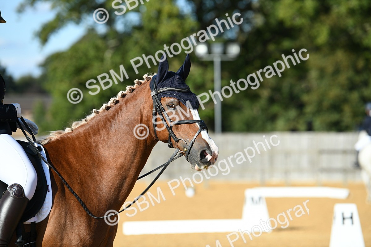 SBM_27331 - D16 - Small Tour Championship - Novice 28