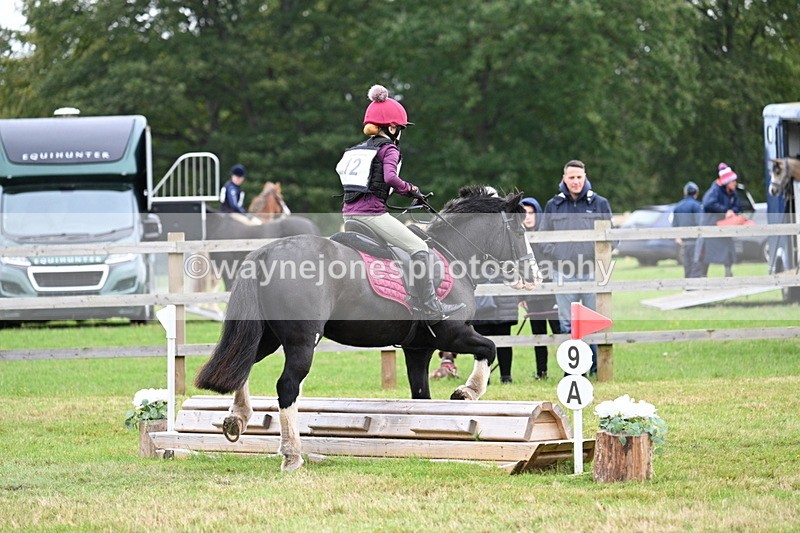 WJ7_7335 - 40cm Time 10:06 to 10:24