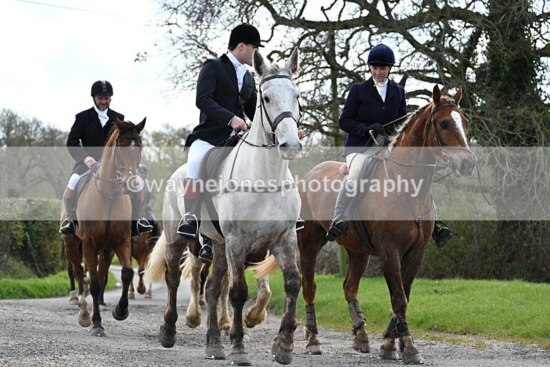 WJ7_9874 - Walk Home