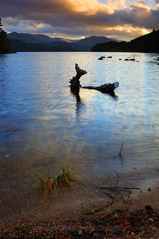 Loch Affric      ref 8504 - Scotland