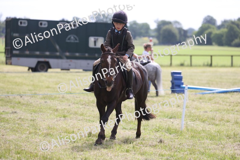 20260614-0526 - Class 20 - Beginners Working Hunter Pony