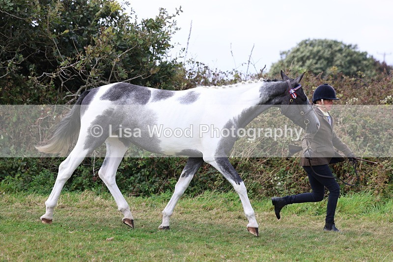 3E7A5367 - Class 19: Best Coloured in Hand