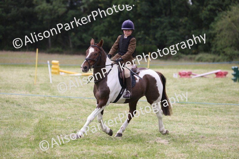 20260614-3062 - Class 22 - Open Working Hunter