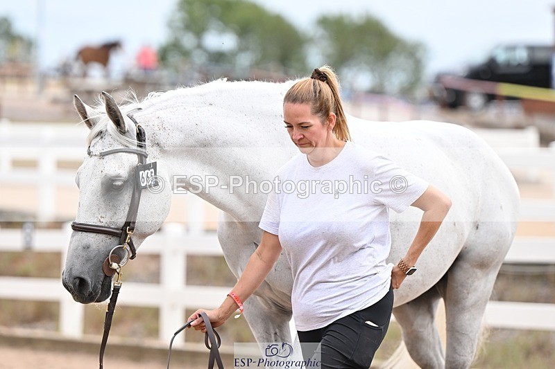 250716-152302-01899 - Trot Up 2.30 to 3.30