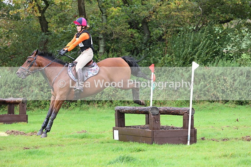 JPP_5469 - Class 5: 90cm Crossed Logs