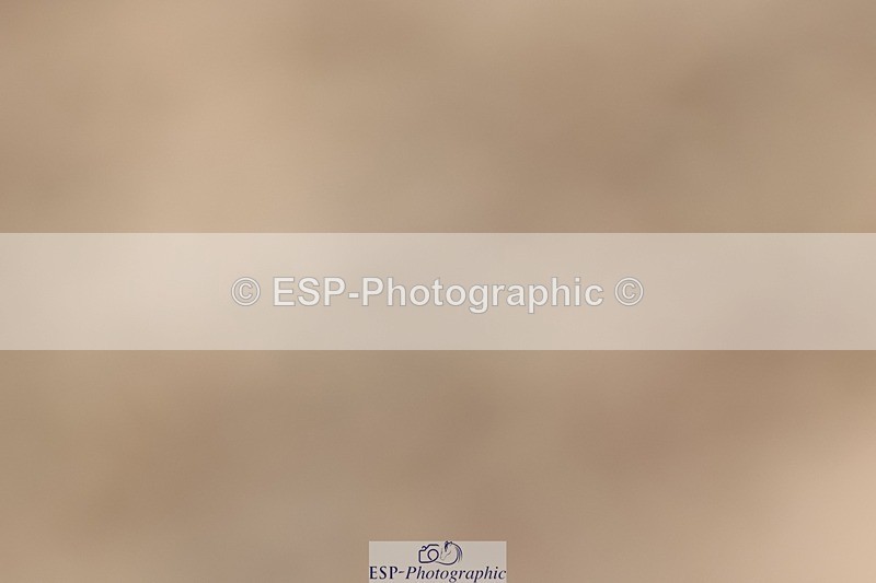 250622-113510-14760 - Cls 48 Novice 6
