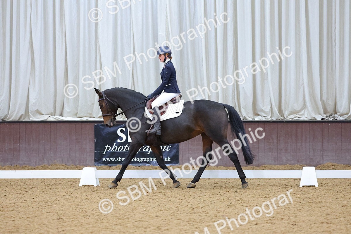SBM_004217 - Intermediate