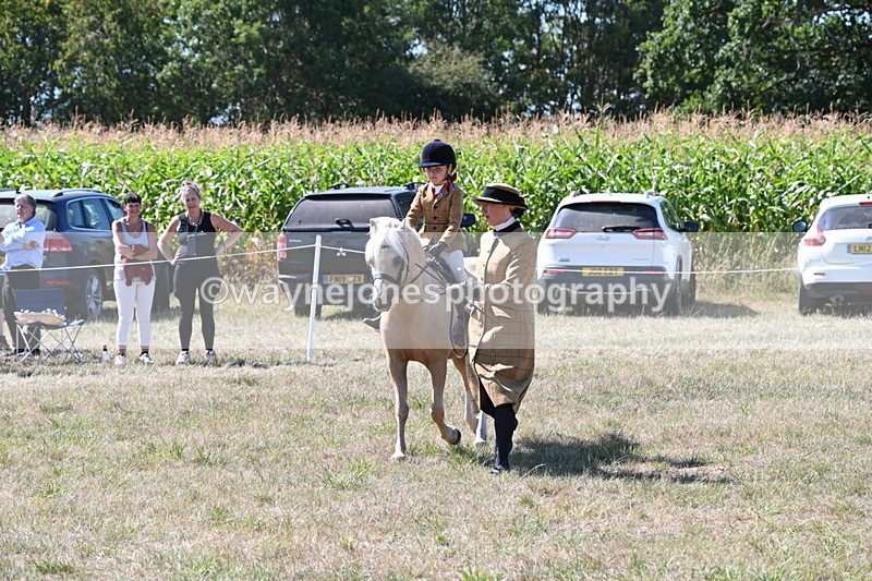 WJ6_8060 - Class 36 Lead Rein