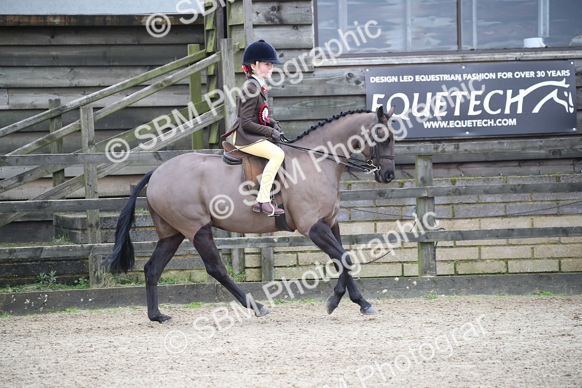 SBM_004698 - Class 5-9 - NPS In Hand-Show Hunter-Intermediate Ridden Inc Ridden Championship