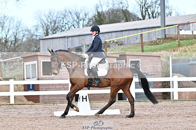 250125-130251-00532 - Dressage - CT Class 6 BE102