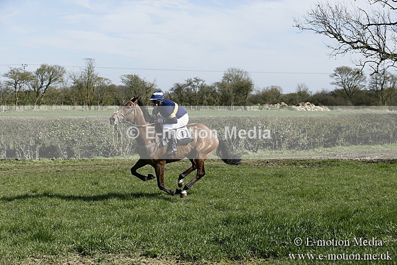 PtP 250317 107 - V.W.H. Hunt Point-to-Point Siddington 25/03/17