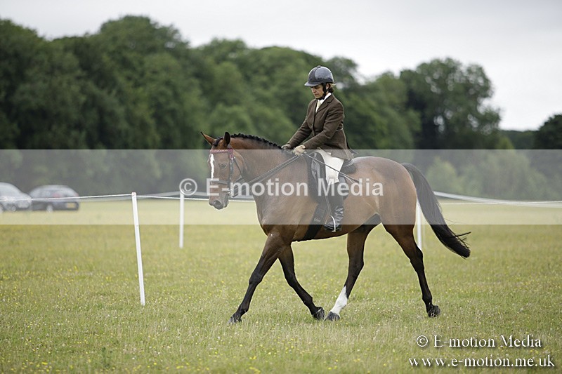 BVR160717-1015 - Ring 1 BVRC Show 16/07/17