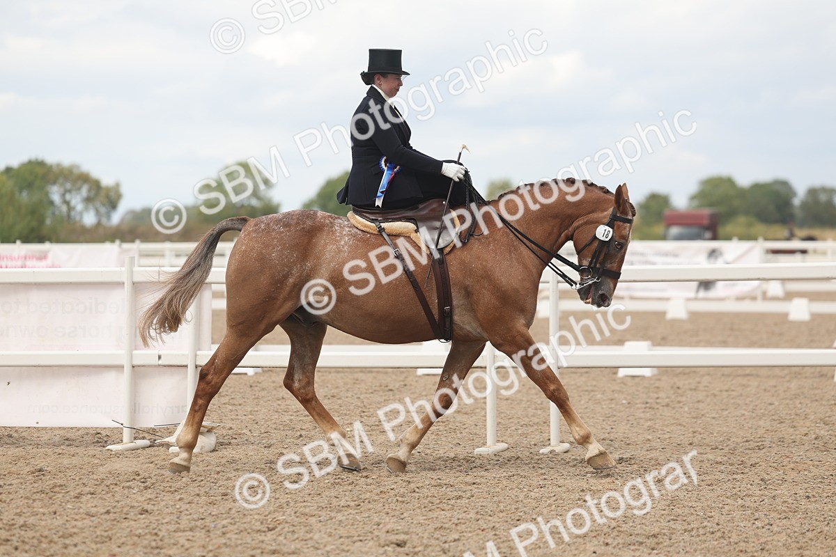 SBM_06339 - Class 24 - SSA Concours d'Elegance