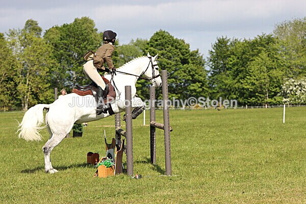 IMG_4818 - Working Hunter