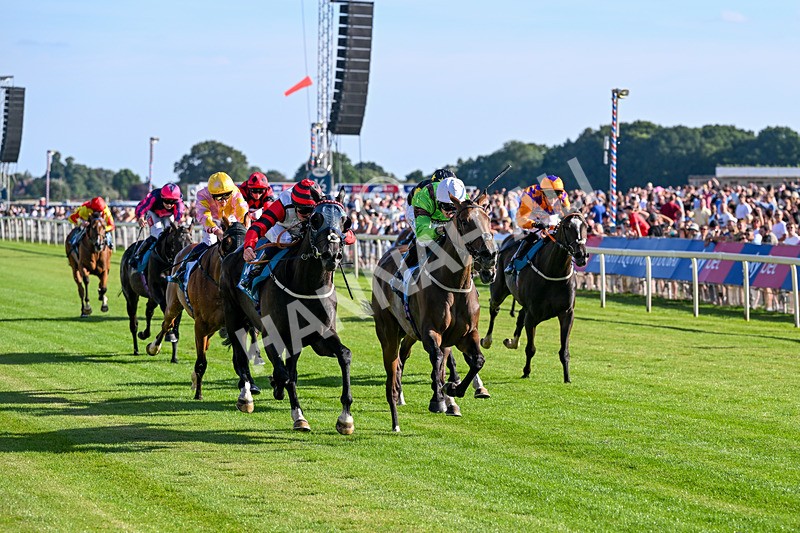 240726-Race 2-Vaguely Royal-5105 - Race 2 18.05pm Elevator Company Handicap