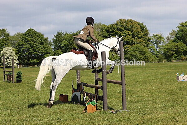 IMG_4494 - Working Hunter