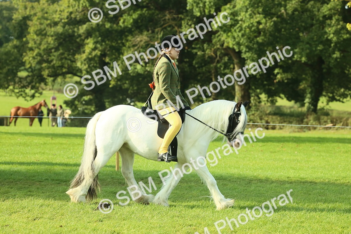SBM_59813 - S38 - Starters Ridden Showing