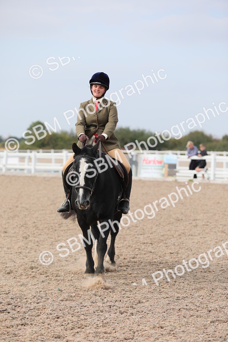 SBM_17026 - Class 314 Family Horse/Pony