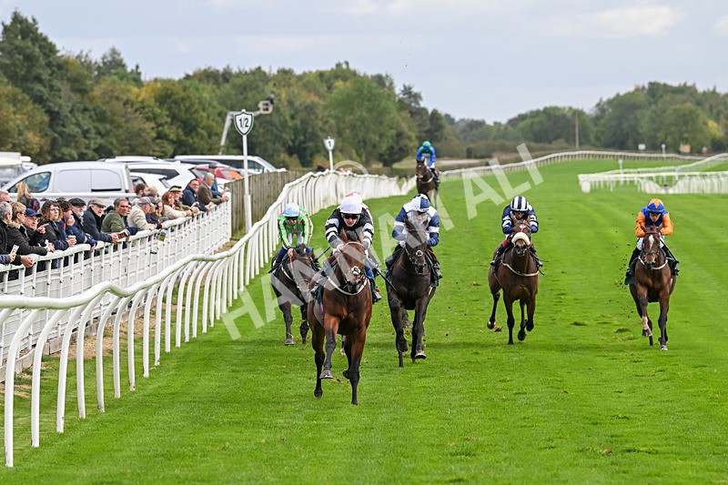 021024-Race 3-Kirkdale-9292 - Race 3