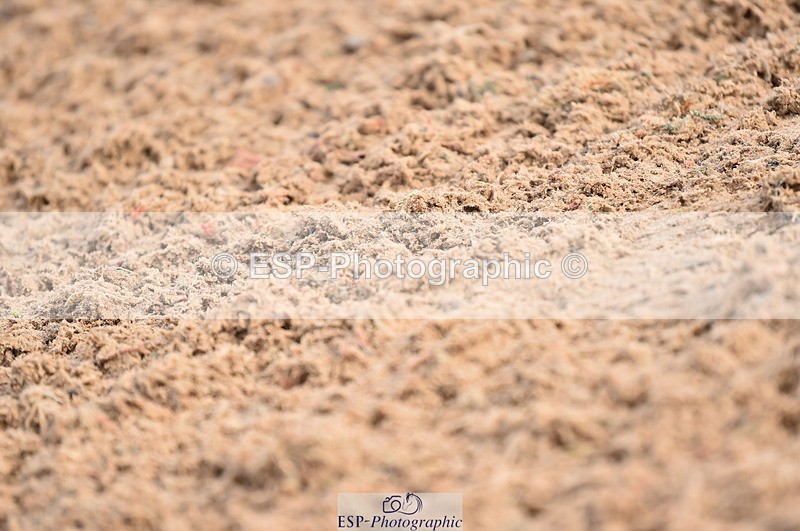 231029A-112846-03052 - Pony Newcomers & 1m Open