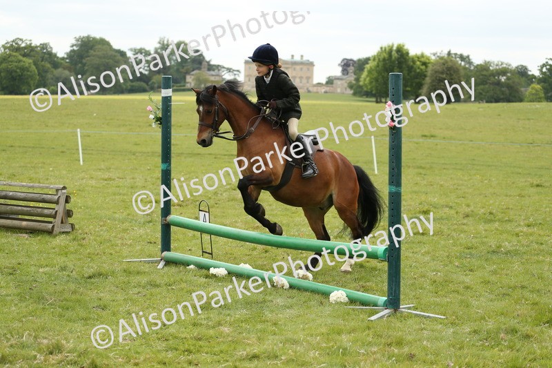 20250517-1195 - Class 21 - Novice Working Hunter