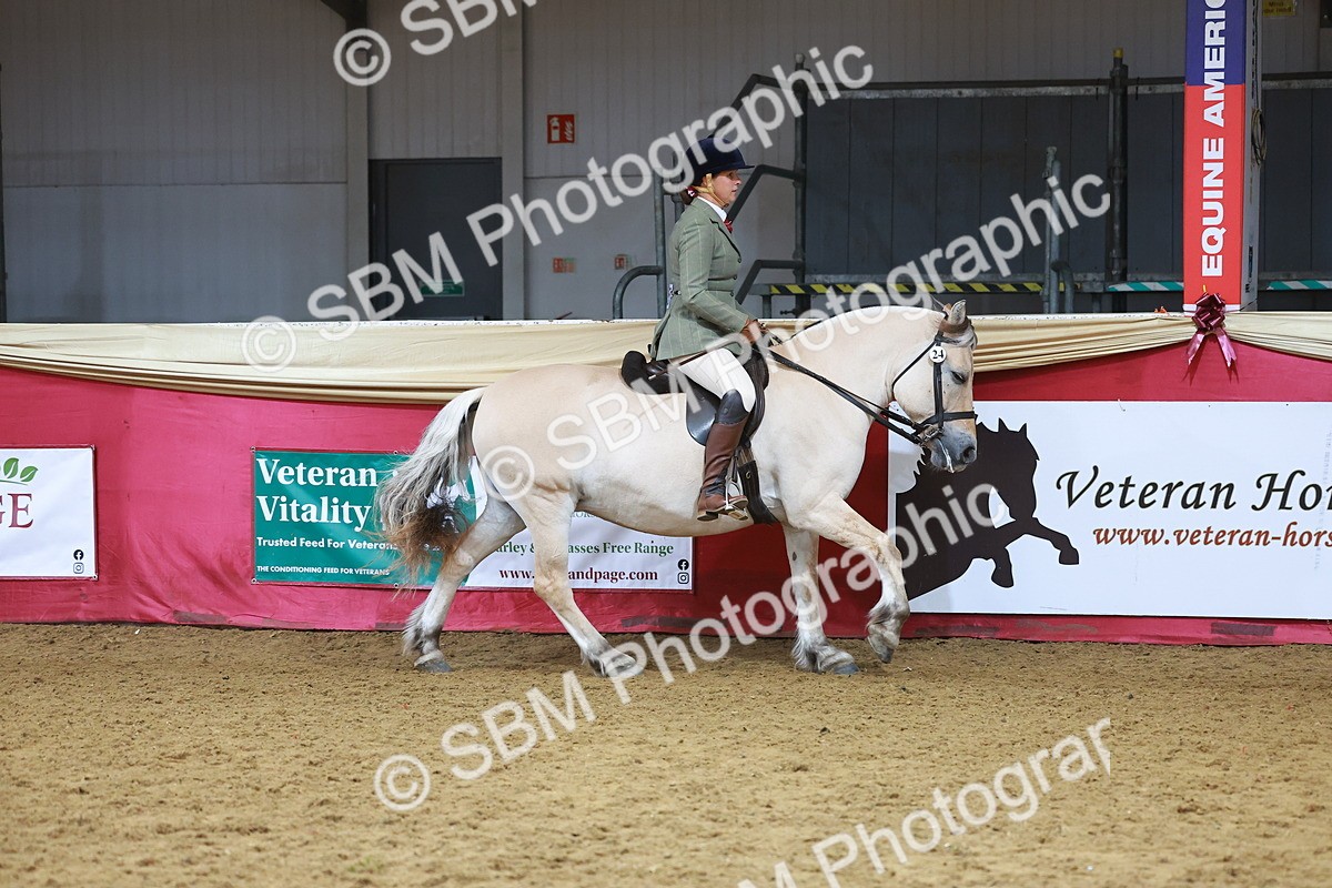 SBM_09400 - Class 102 - HOYS Veteran Qualifier - Ridden Veteran