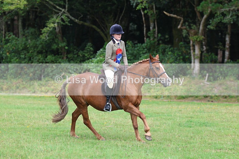 3E7A6069 - Working Hunter Championship
