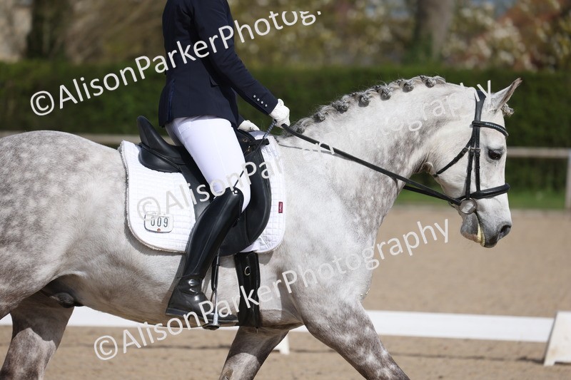 20260405-0175 - Class 3 - Novice 5