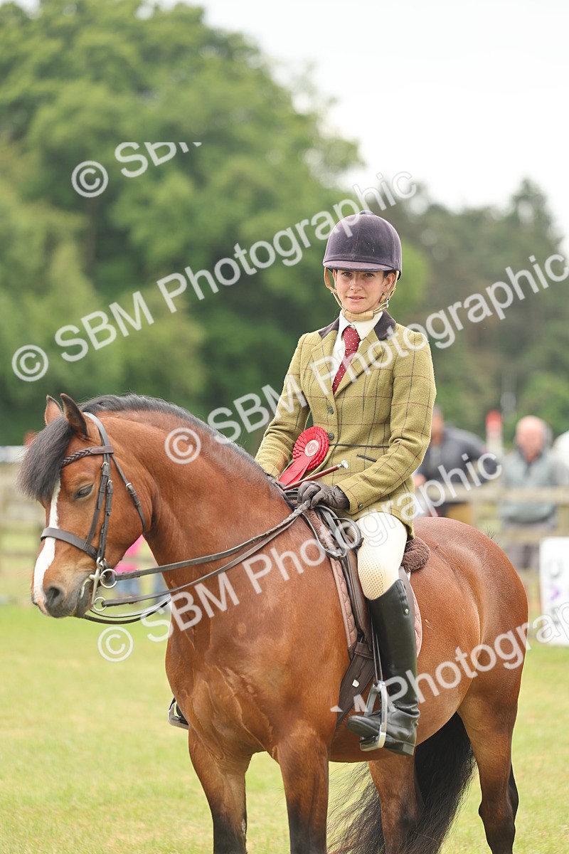 SBM_07263 - Class 76-77 - Ridden M&M Welsh Ponies