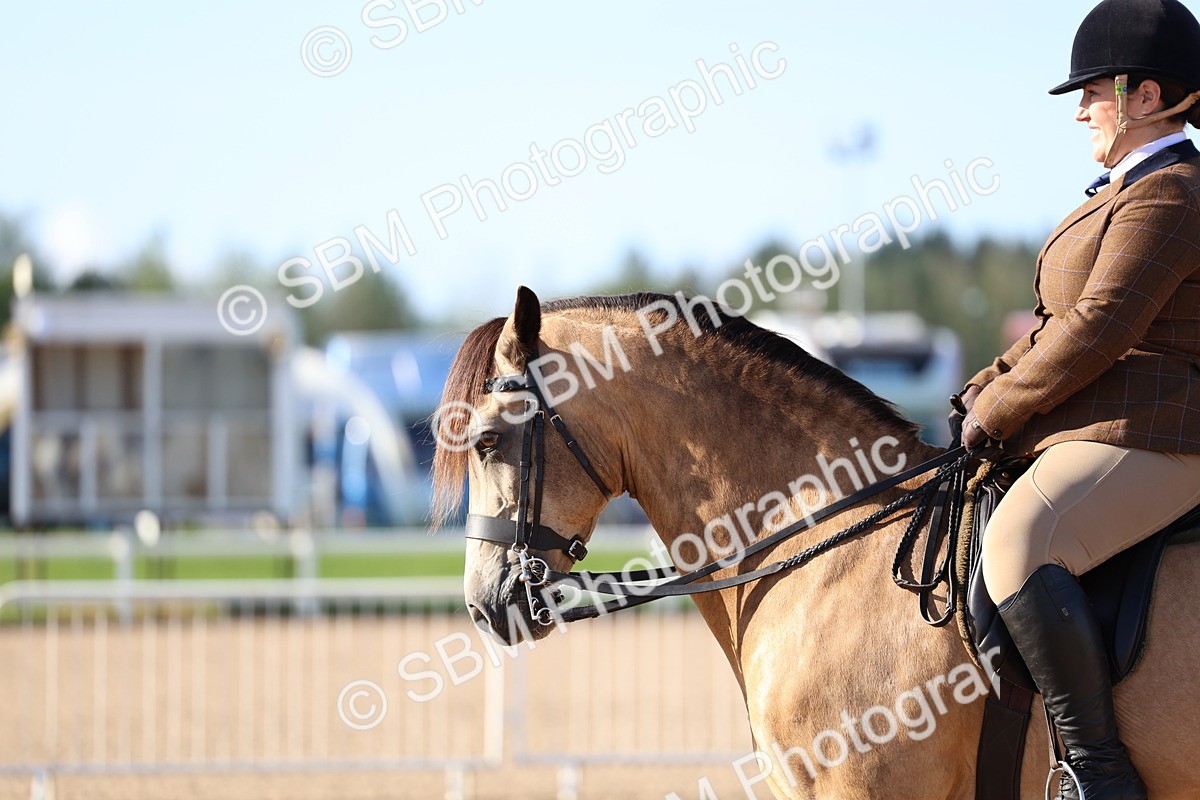 SBM_08866 - Class 302 - Ridden M&M - Large Breeds