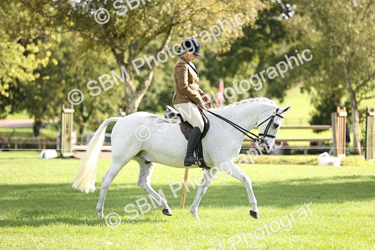 SBM_26363 - S6 - Novice & Newcomers Ridden Horse