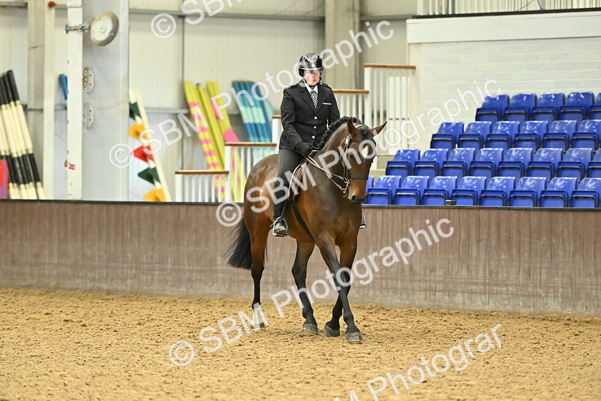 SBM_002077 - Class 23 - BSHA Ridden Show Hunter