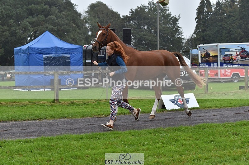 231018-115916-00018 - 066-FJK.OVER.AND.OUT-Alicia.Wilkinson-TrotUp