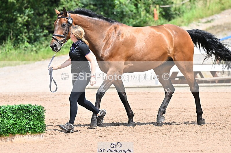 240718A-105317-01808 - Trot Up 1pm to 2pm