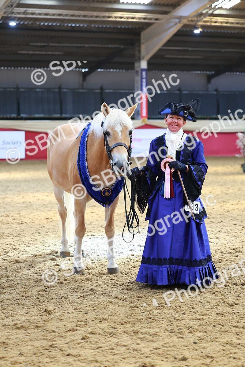 SBM_13700 - Class 104 - IH  Costume