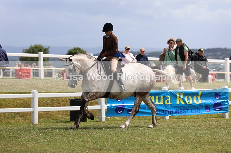 3E7A0231 - Class 6: Rising Star Maxi Cobs