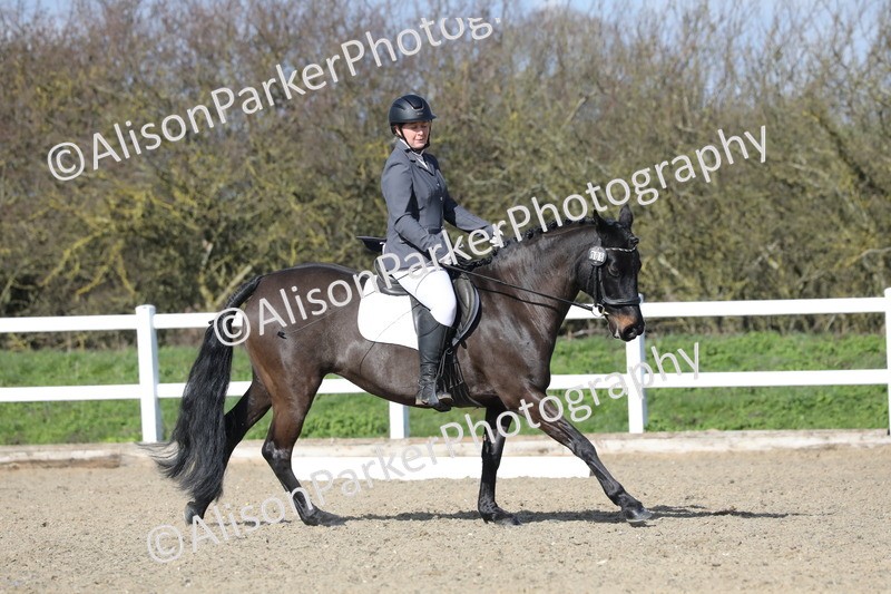 20260314-4869 - CT6 - Elementary 1