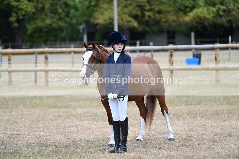 WJ7_8209 - Class 4 Prettiest Mare up to 14.2hh