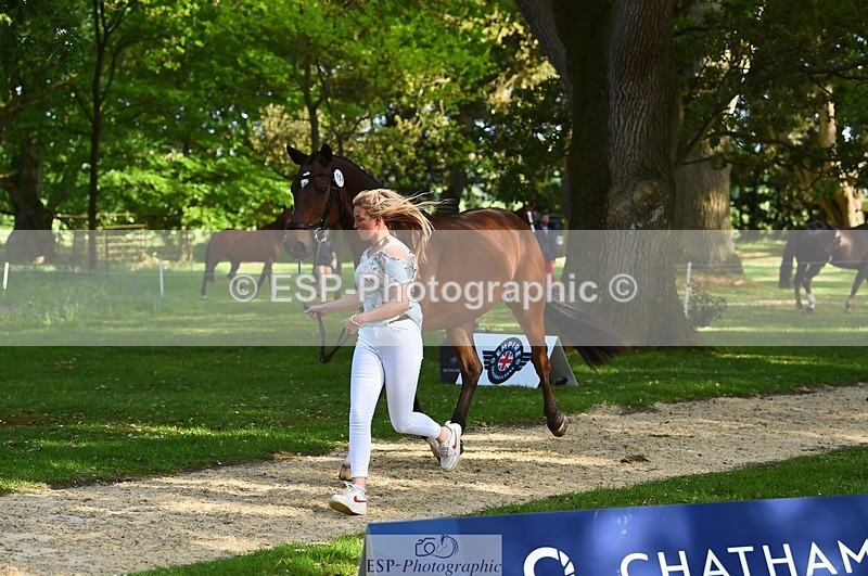 230524-170732-01296 - 154-GELUK_G-Molly_Adams-WEDTrotUp+DR